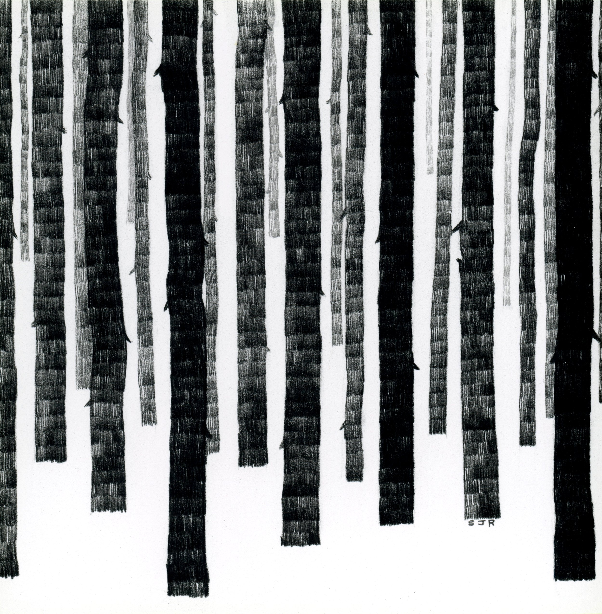 Black Pines 1