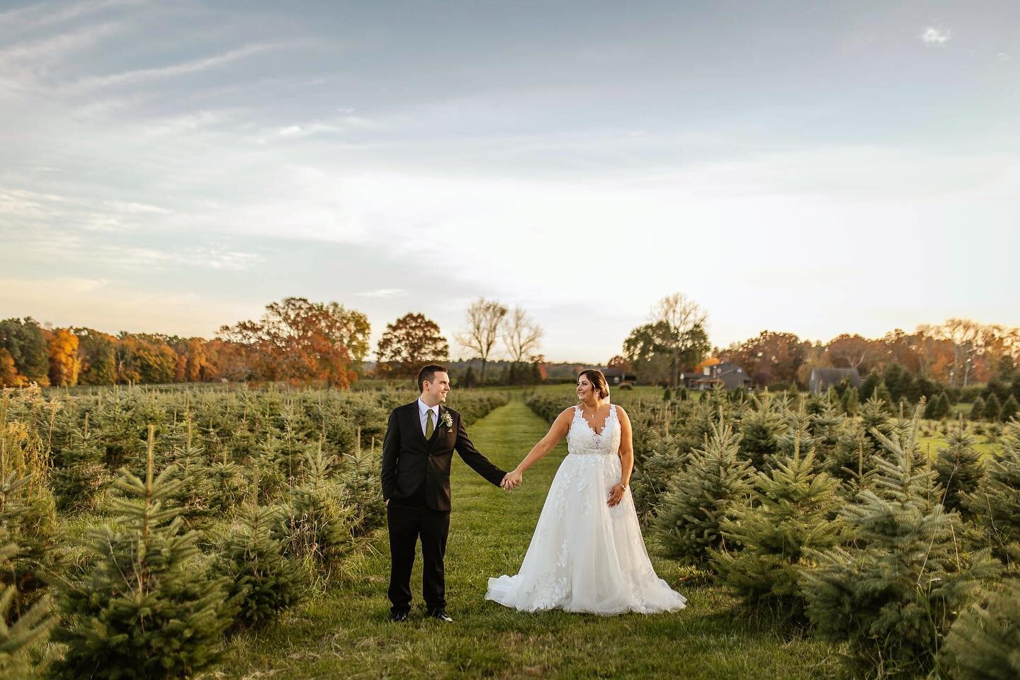 My favorite debate: when do you put up your Christmas tree?