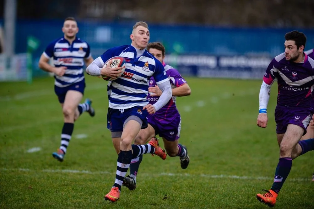 Bears v Hornets Match Preview