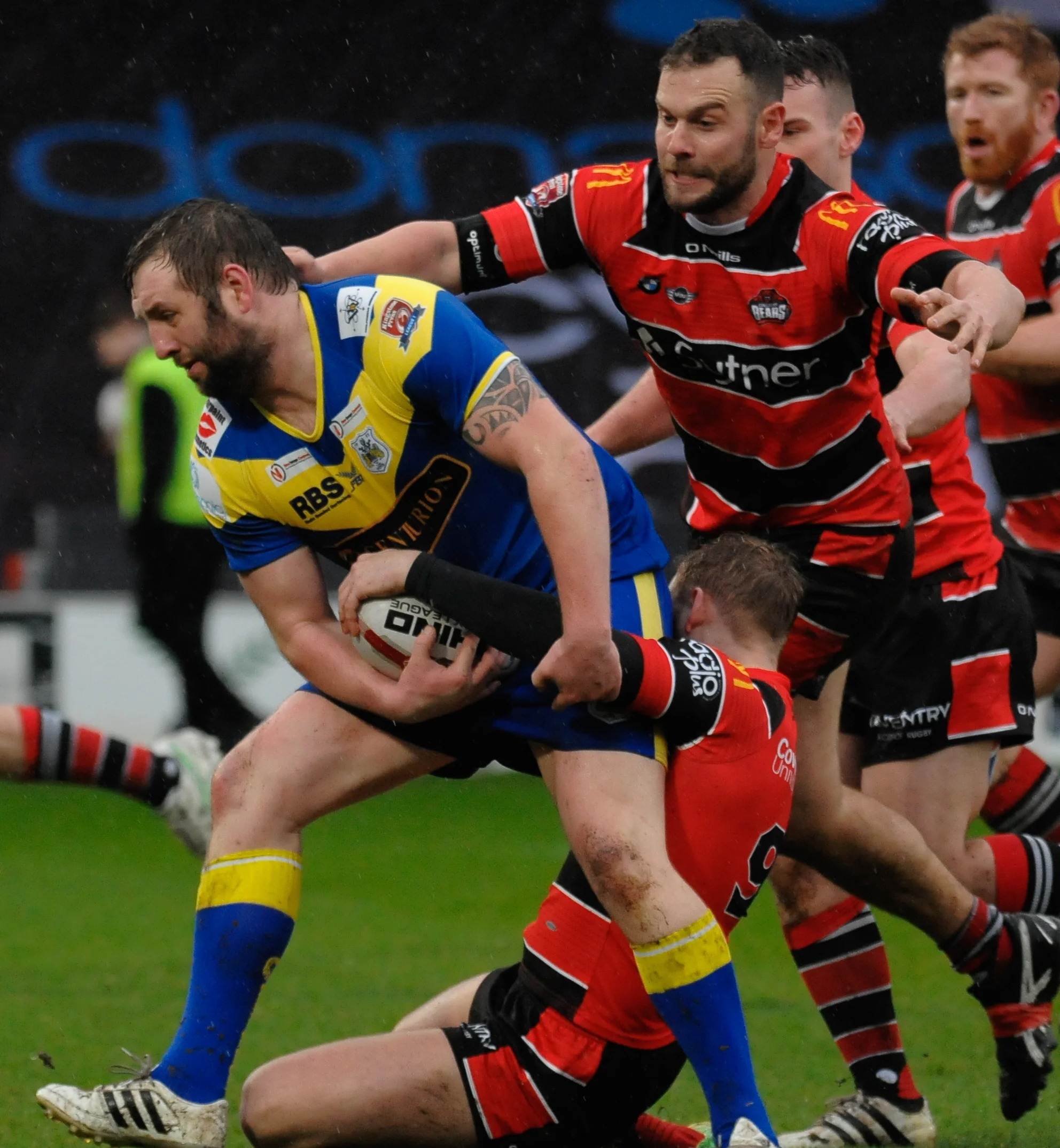 Bears downed by Dons 