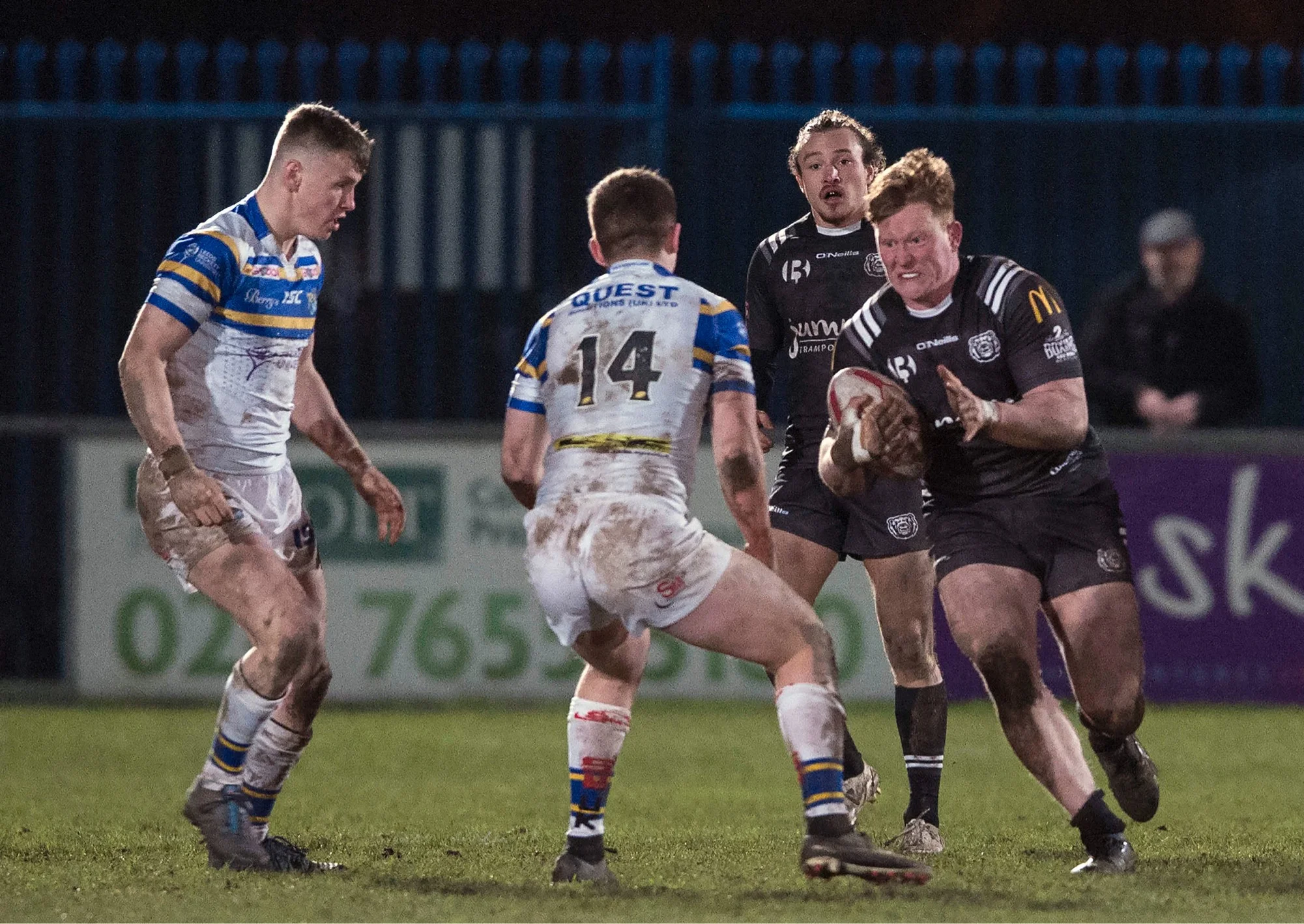 Bears Battle Rhinos 
