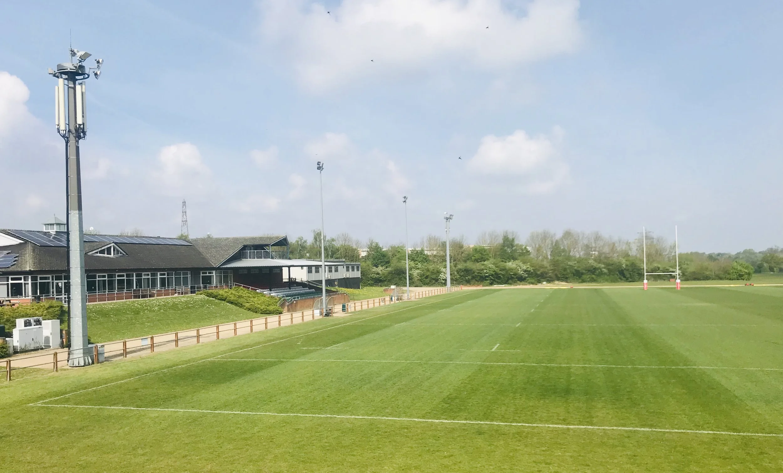 Bears take ground move in their stride 