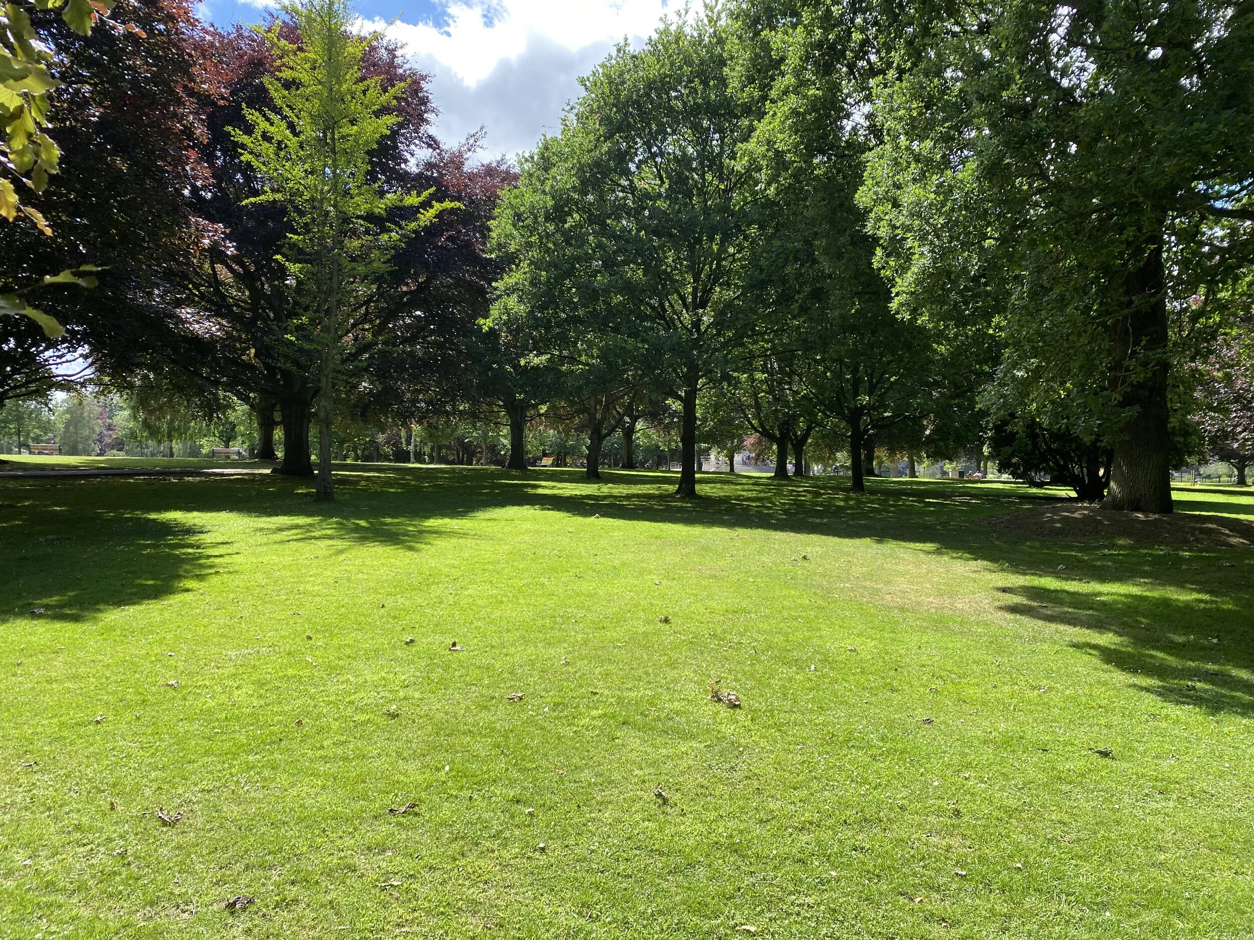 BEARS TO DELIVER FREE COMMUNITY FITNESS