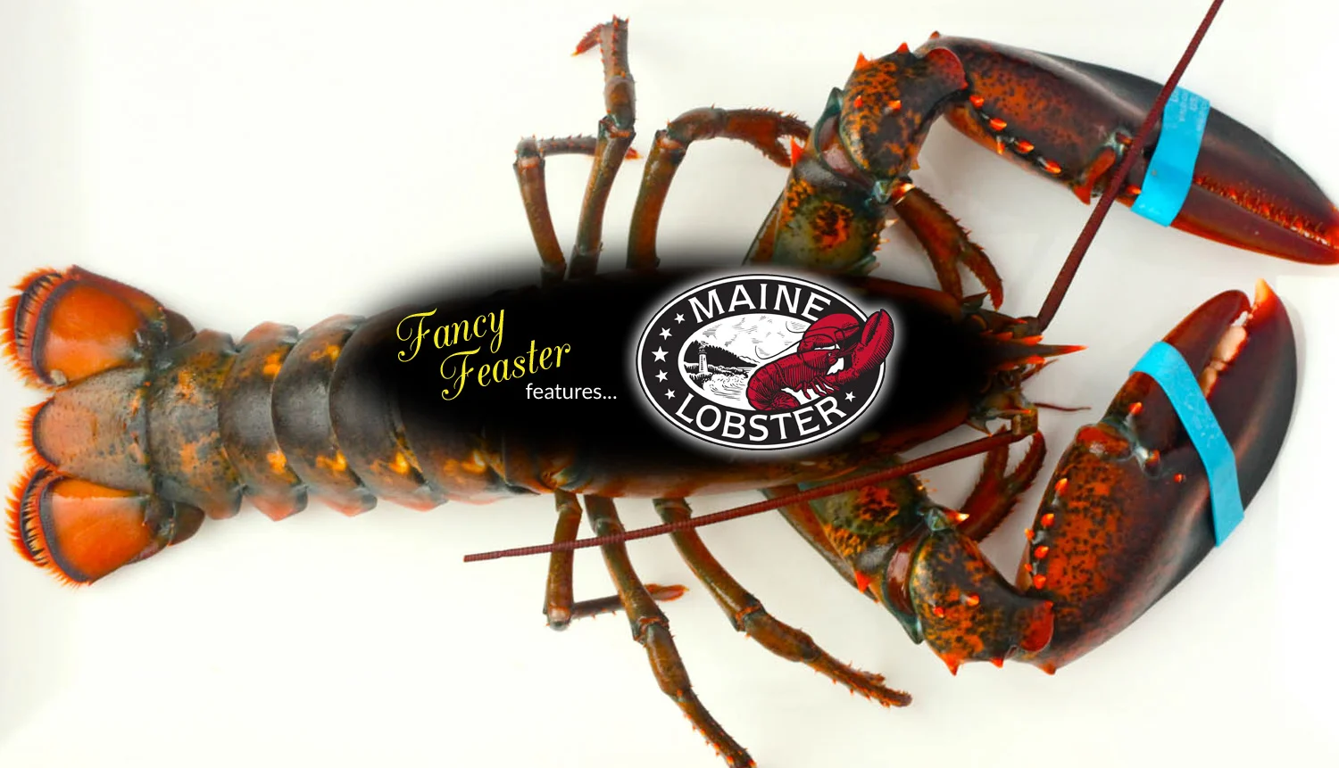 Part 2: Lobster Roll Adventure (Cookin' It)