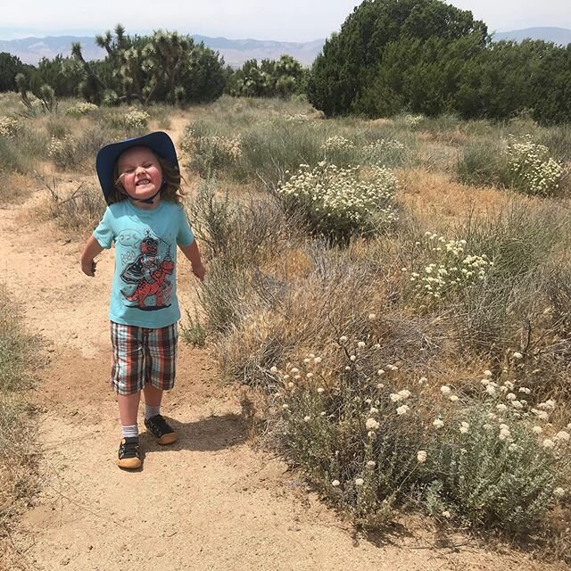 Ever been west of the @poppy.reserve? I took @thejacksonasher for a short stroll to the Ripley Desert Woodland after @mygympsp yesterday. It was 103 degrees so we just took in the 1/4 mile hike. Stay tuned for an upcoming @jacksonashersuperadventures