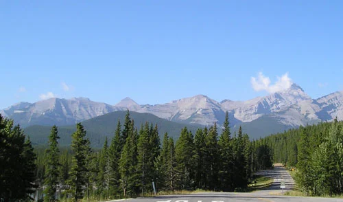 Figure 3-2. The Banded Group — (L-R) Outlaw, Banded Peak, Cornwall and Glasgow.