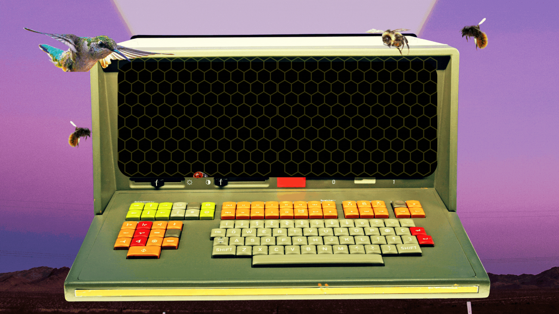 The Hive — Activate Labs