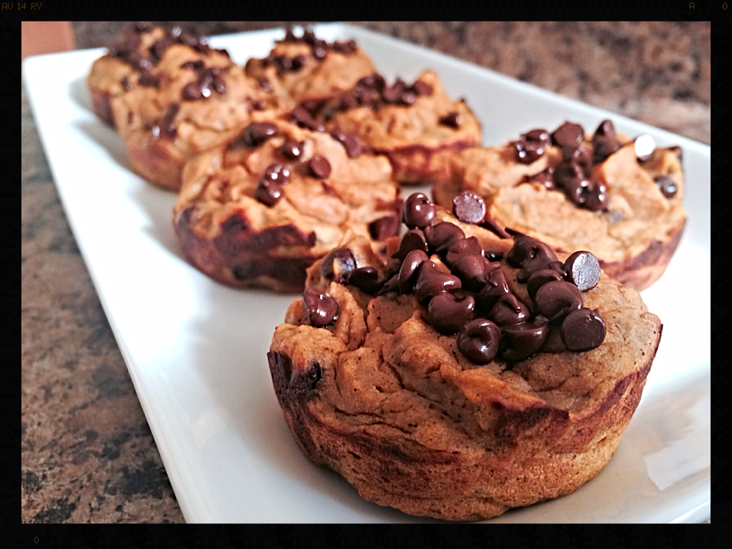 Pumpkin Protein Muffins... Healthy and Delicious ! 