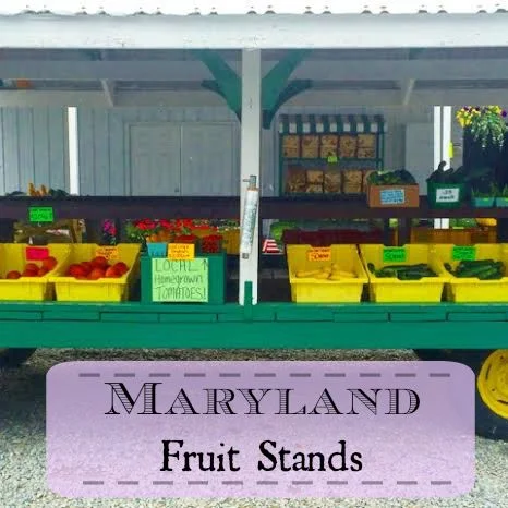 Maryland Fruit Stands