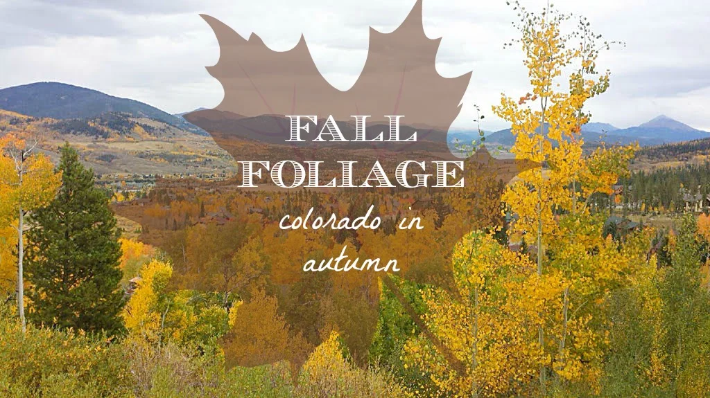 Fall Foliage - Colorado in Autumn