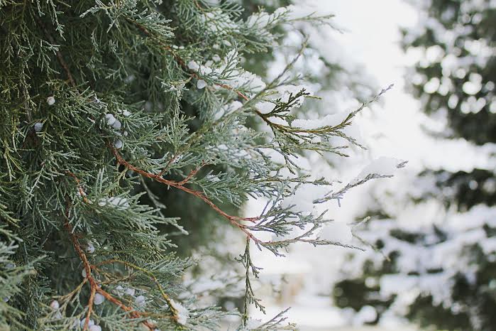 Winter in Arvada Colorado