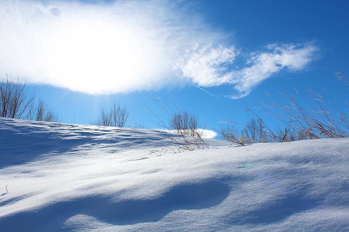 Arvada Colorado