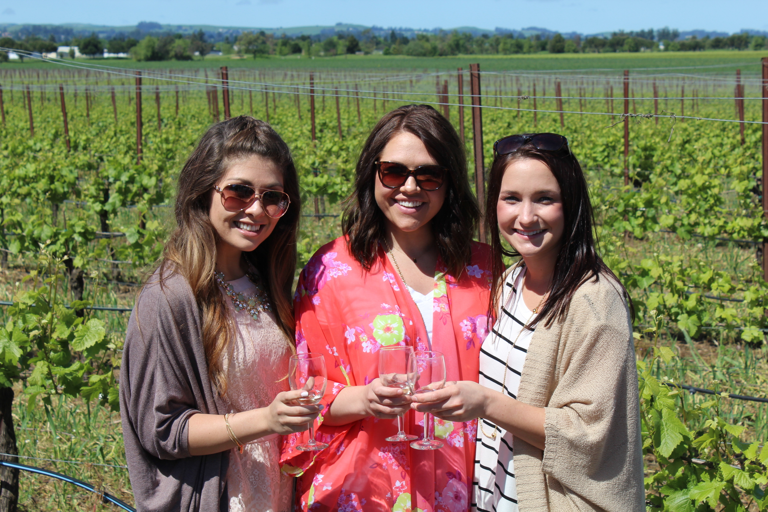Photo taken at Roche Winery
