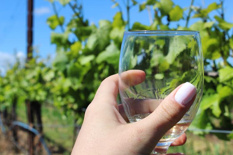 glass of wine in sonoma valley.jpg