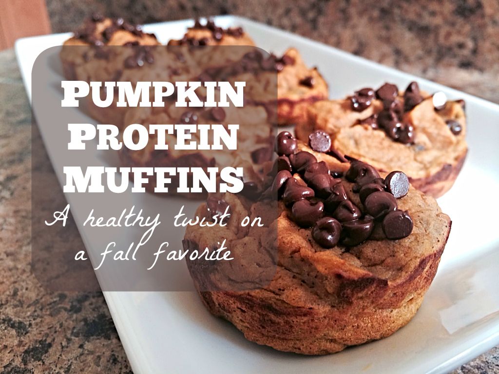 pumpkin protein muffins