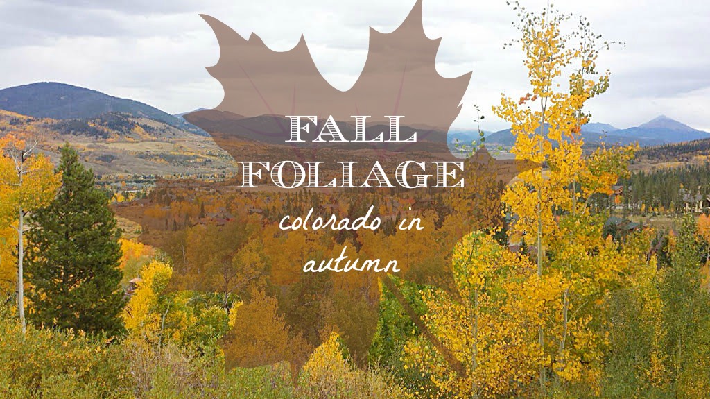 foliageblog.jpg