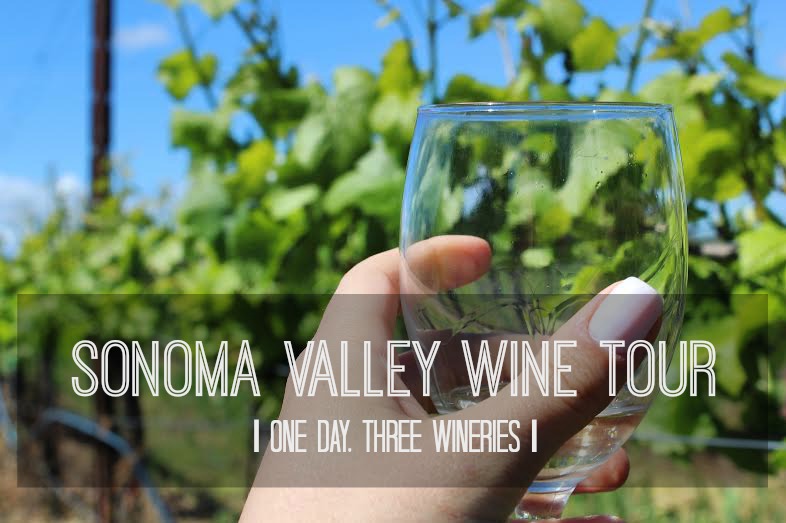 glass of wine in sonoma valley 2.jpg