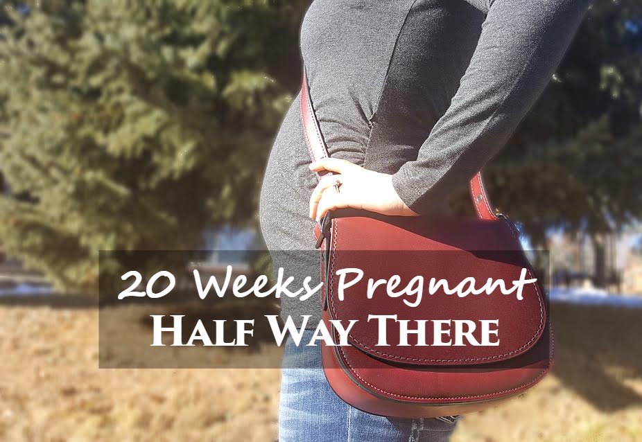 20 weeks pregnant
