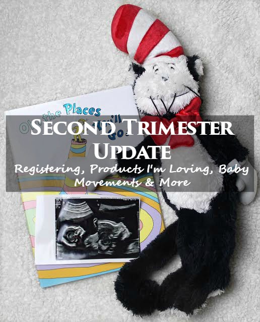 oh the places you'll go second trimester update.jpg