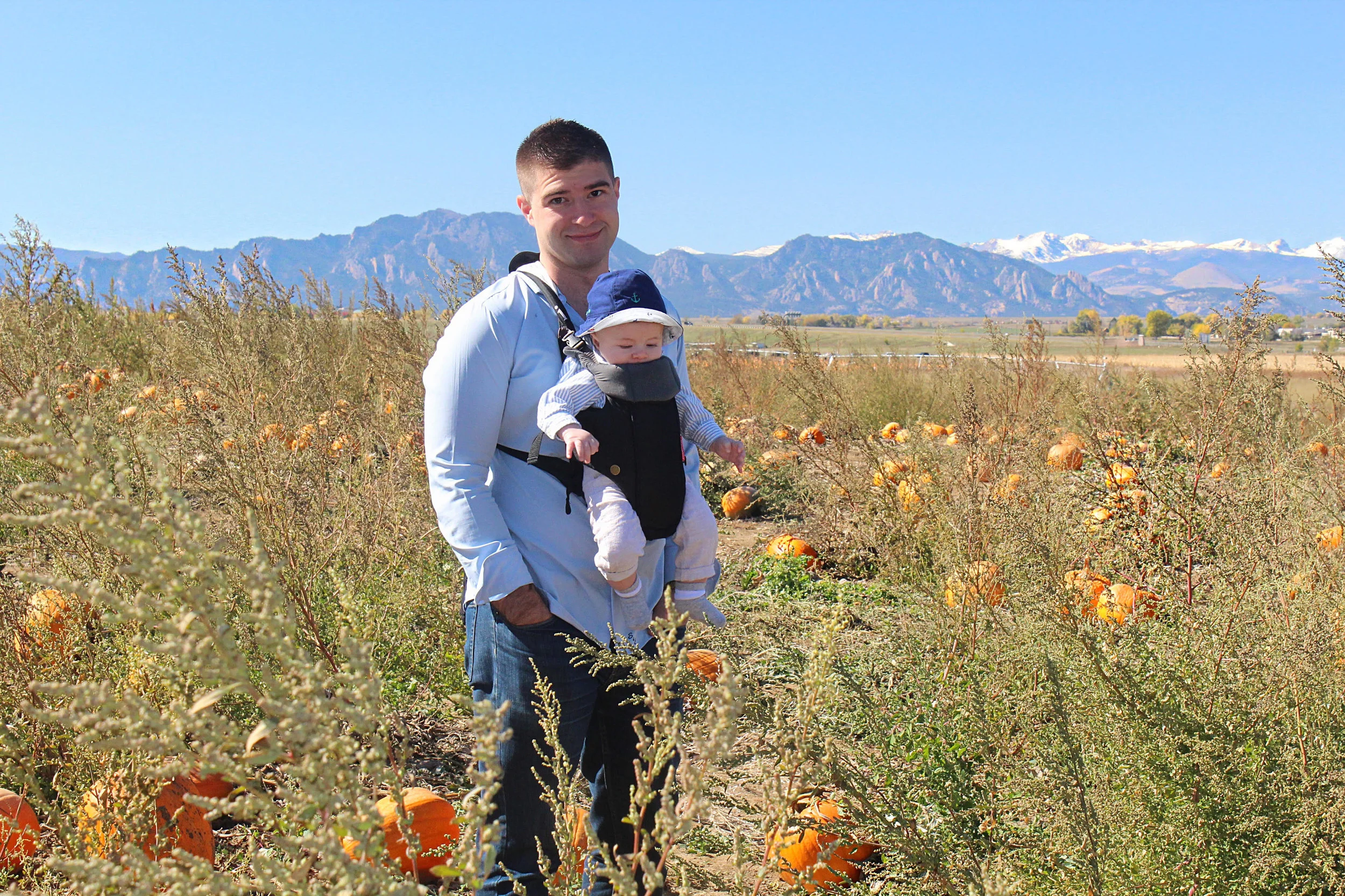 pumpkin-patch.jpg
