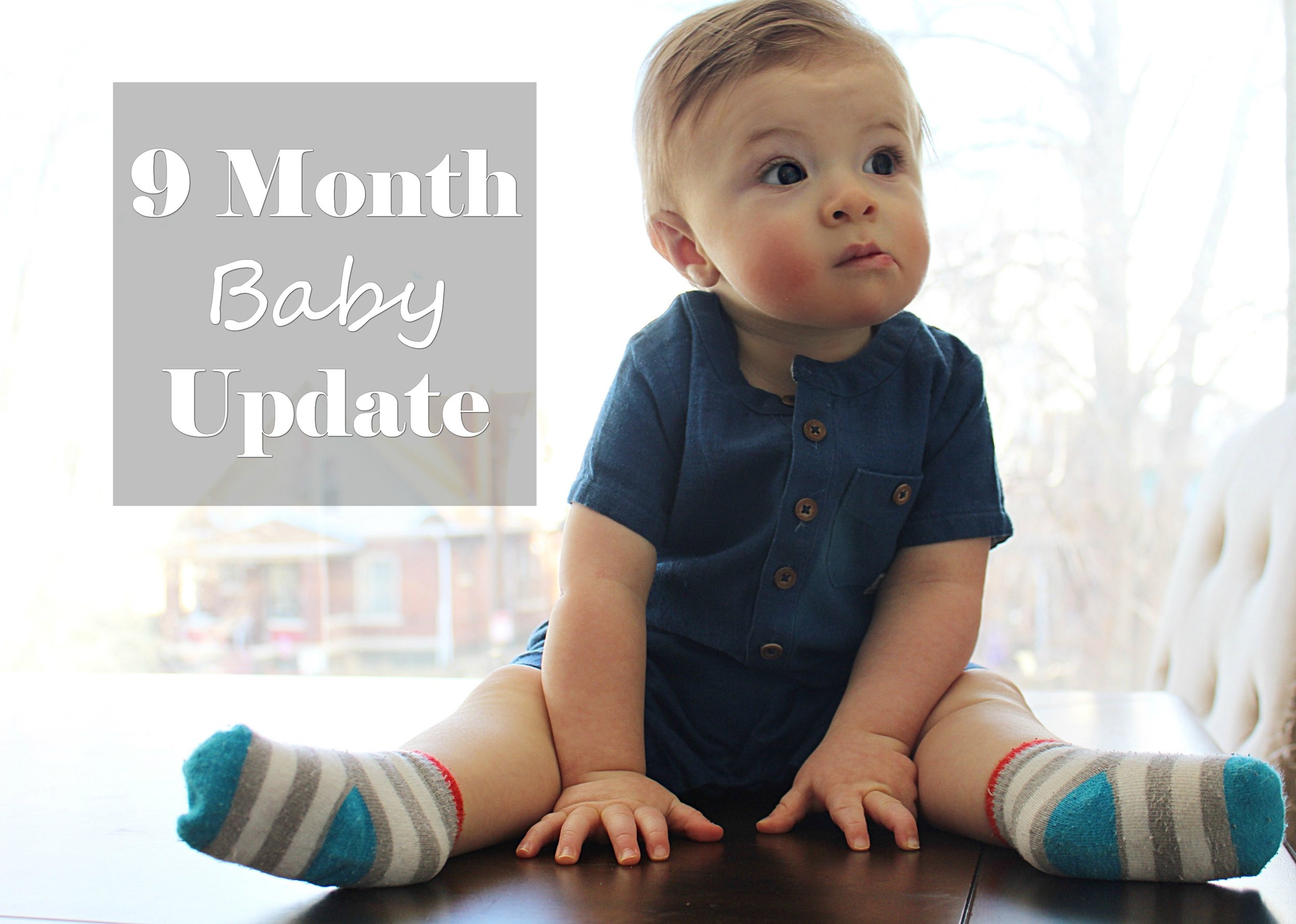 9 Month Baby Update