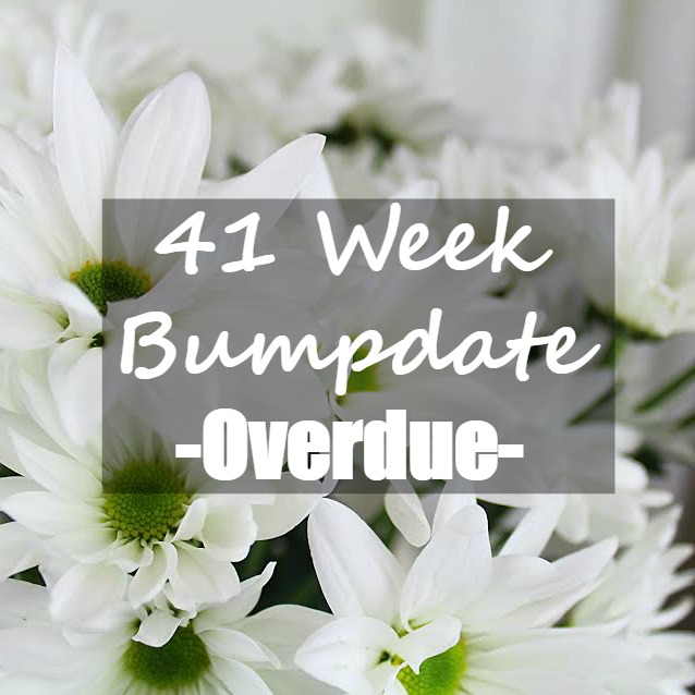 41 week bumpdate - overdue.jpg