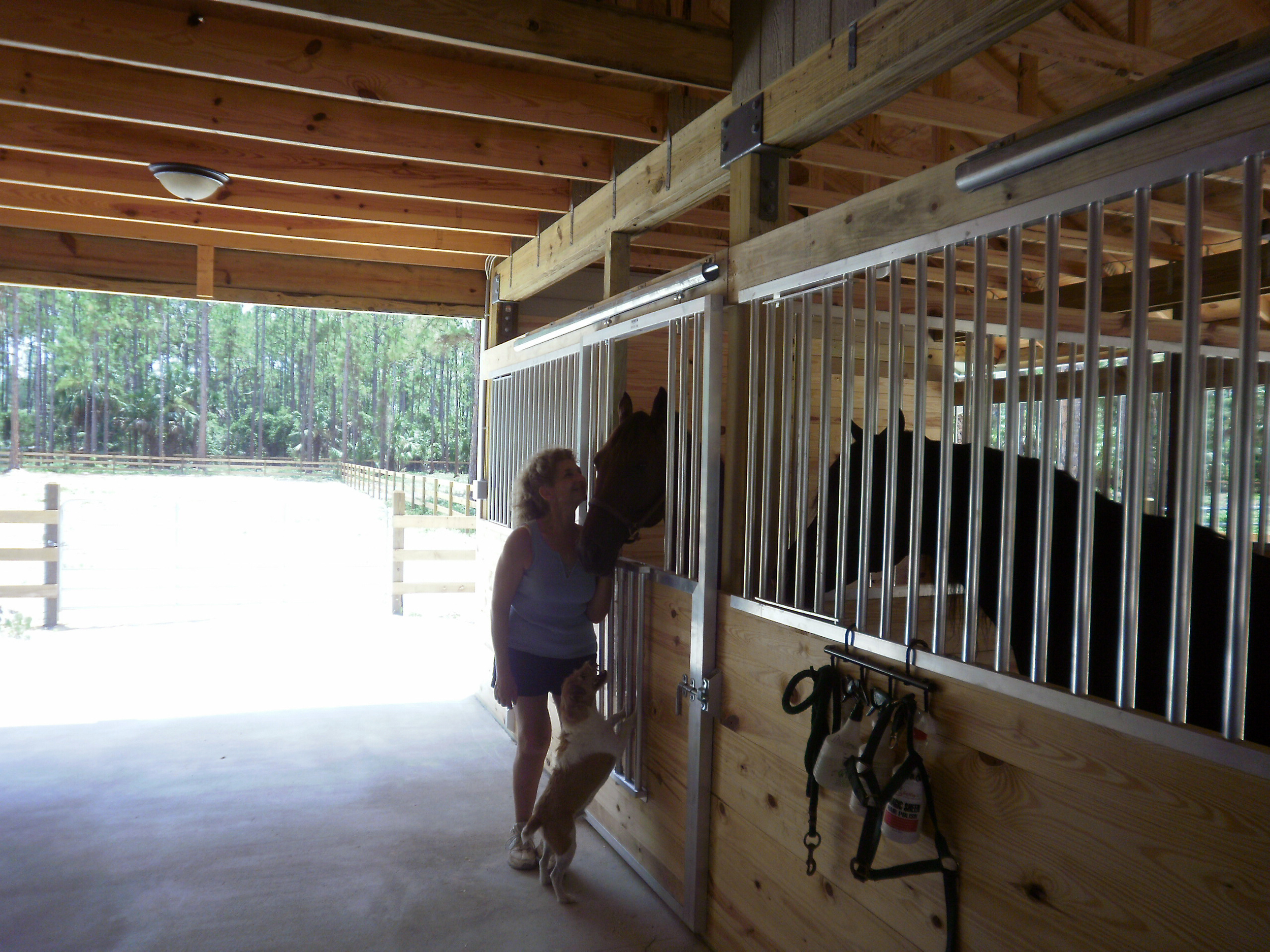 South-west-florida-agricultural-construstion-barn-4.jpg