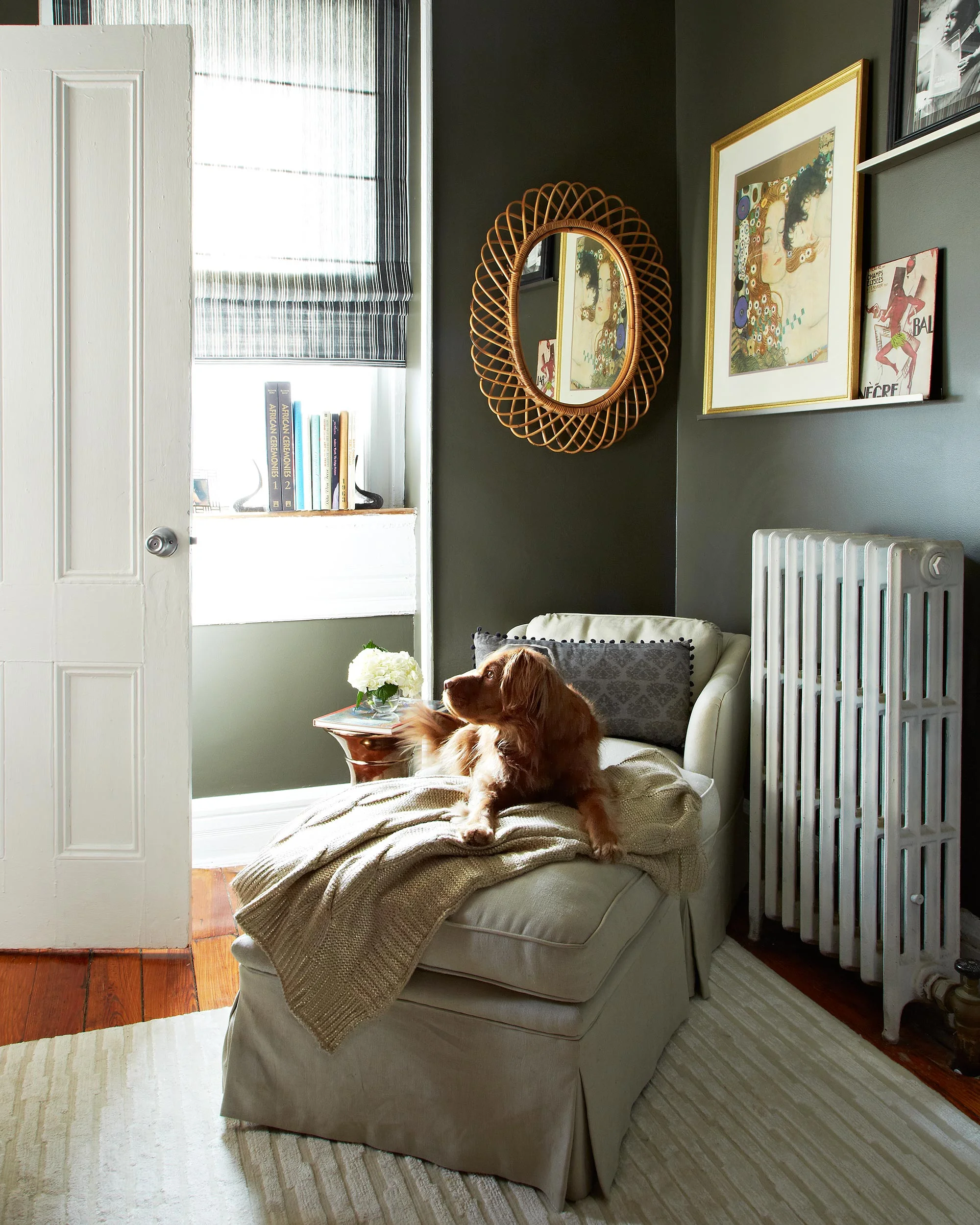 2014-0201_DCDNY-55473_final-dog.jpg