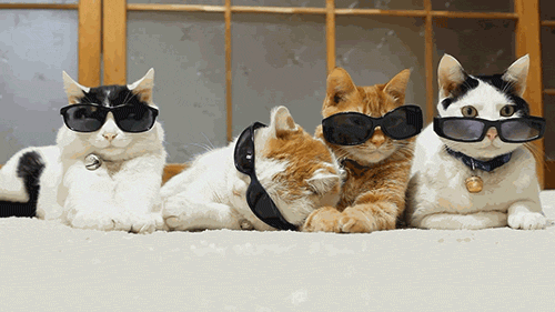 Party hard.