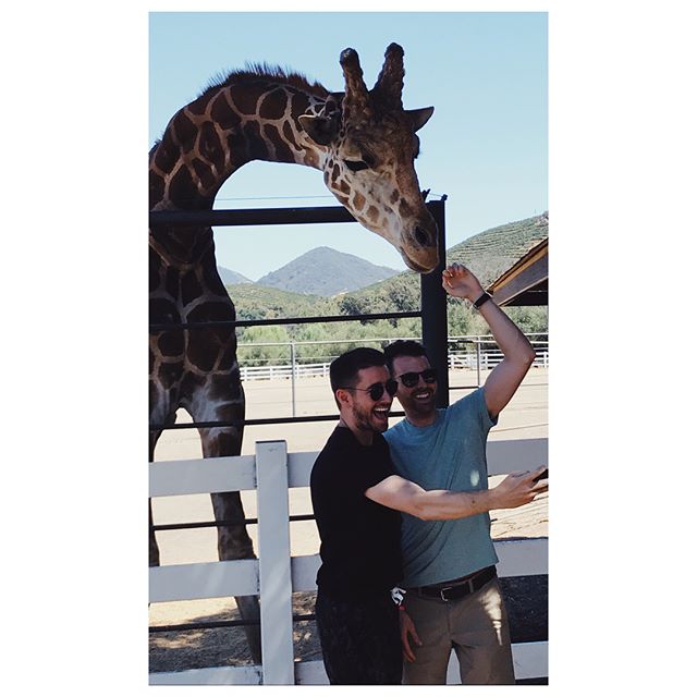 The Making of a Selfie:
Behind the Scenes vs. Reality vs. Reaction
#tbt #selfie #imstagram #behindthescenes #reality #malibuwinesafari #malibu #california #stanley #malibuwine #giraffe #🦒