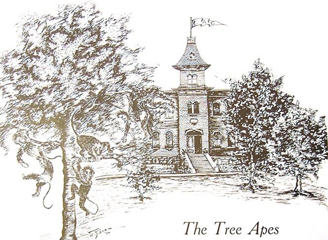  Tree Apes Yearbook 1906 