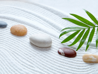 Wisdom and Hope Speaker Series: Domyo Burke