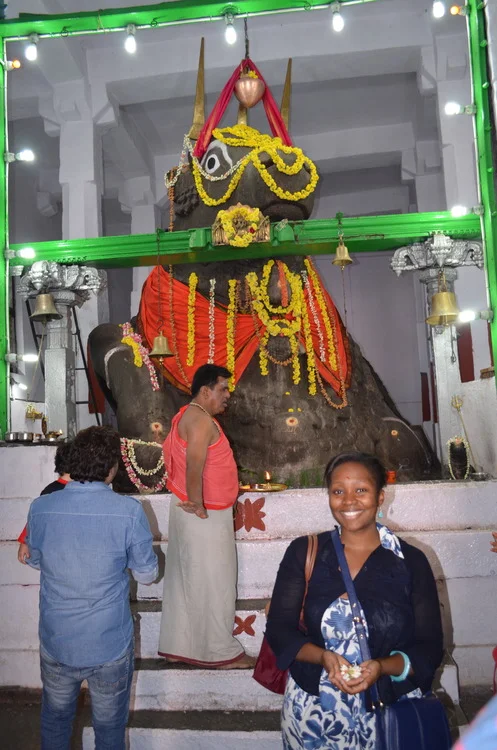 IDEV Practicum 2014: Making Green a Habit