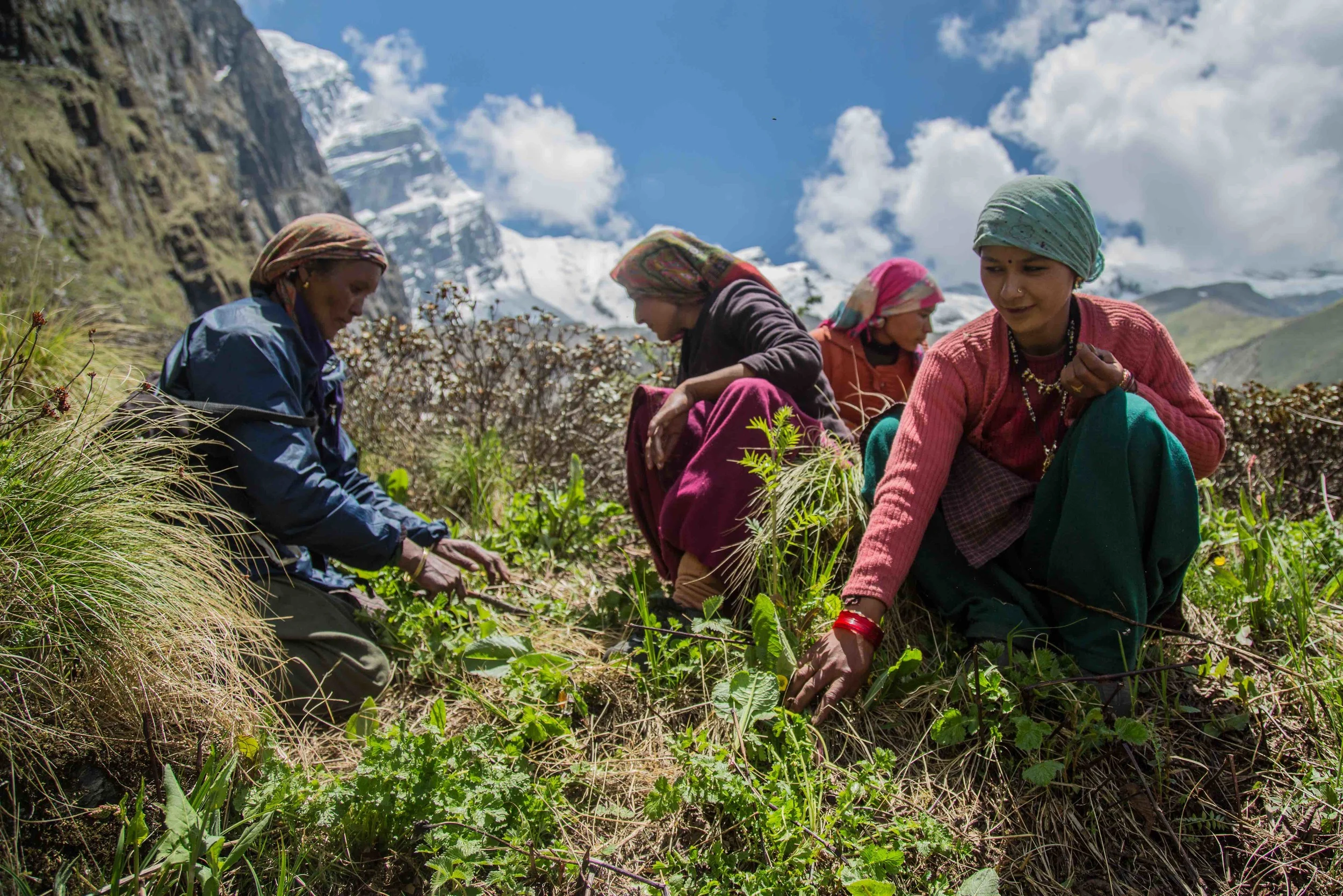 The Himalayan Ladies SMall.jpg