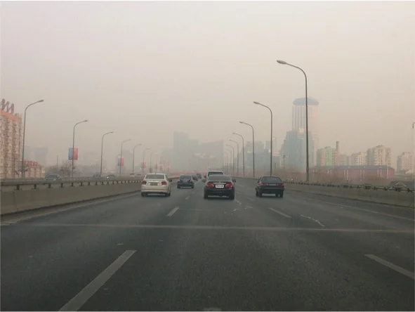 IDEV Practicum 2015: SOCIAL AND ENVIRONMENTAL SAFEGUARDS IN INTERNATIONAL FINANCE INSTITUTIONS