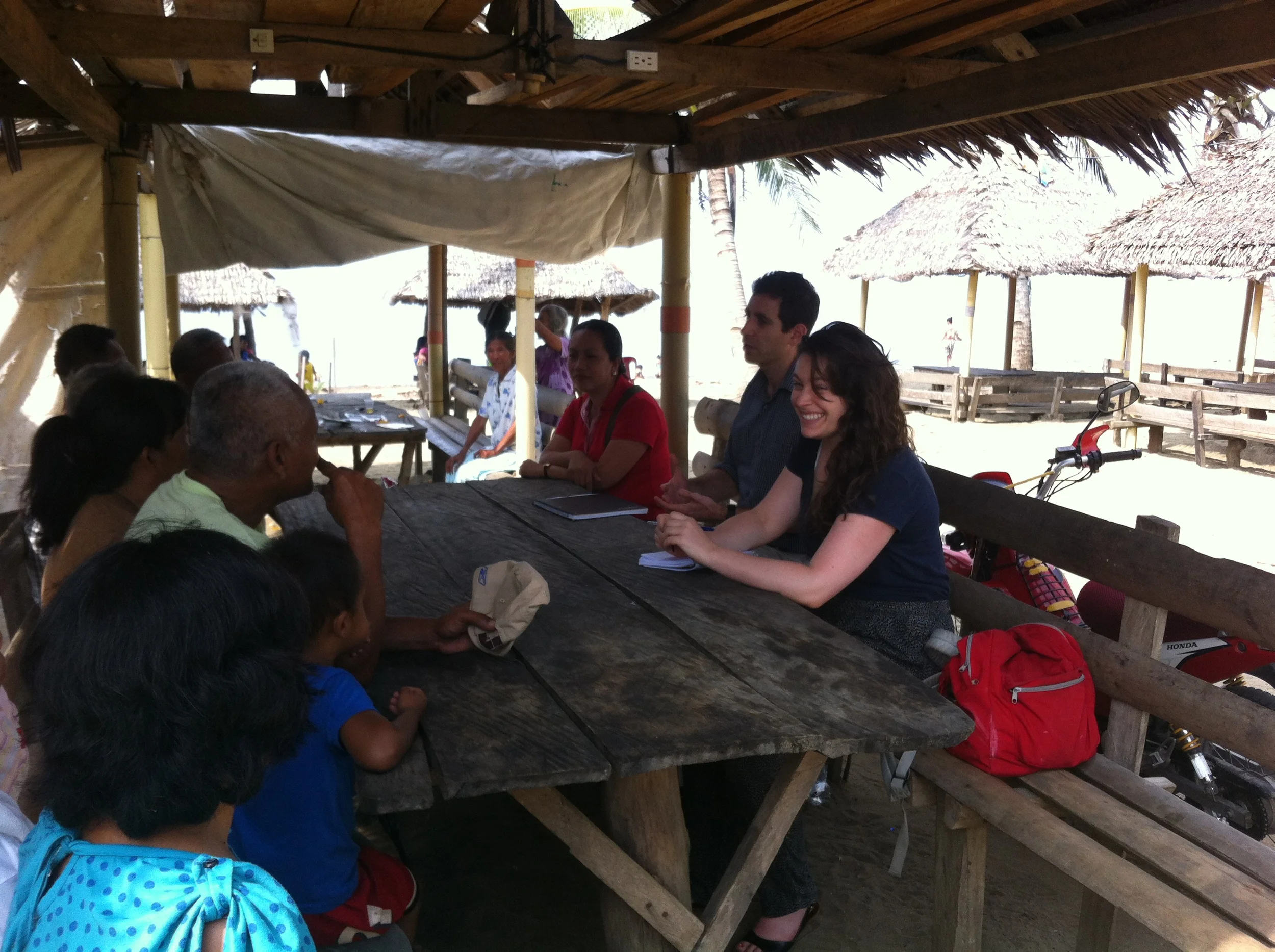 IDEV Practicum 2015: Evaluating Resilience to Natural Disaster in the Philippines