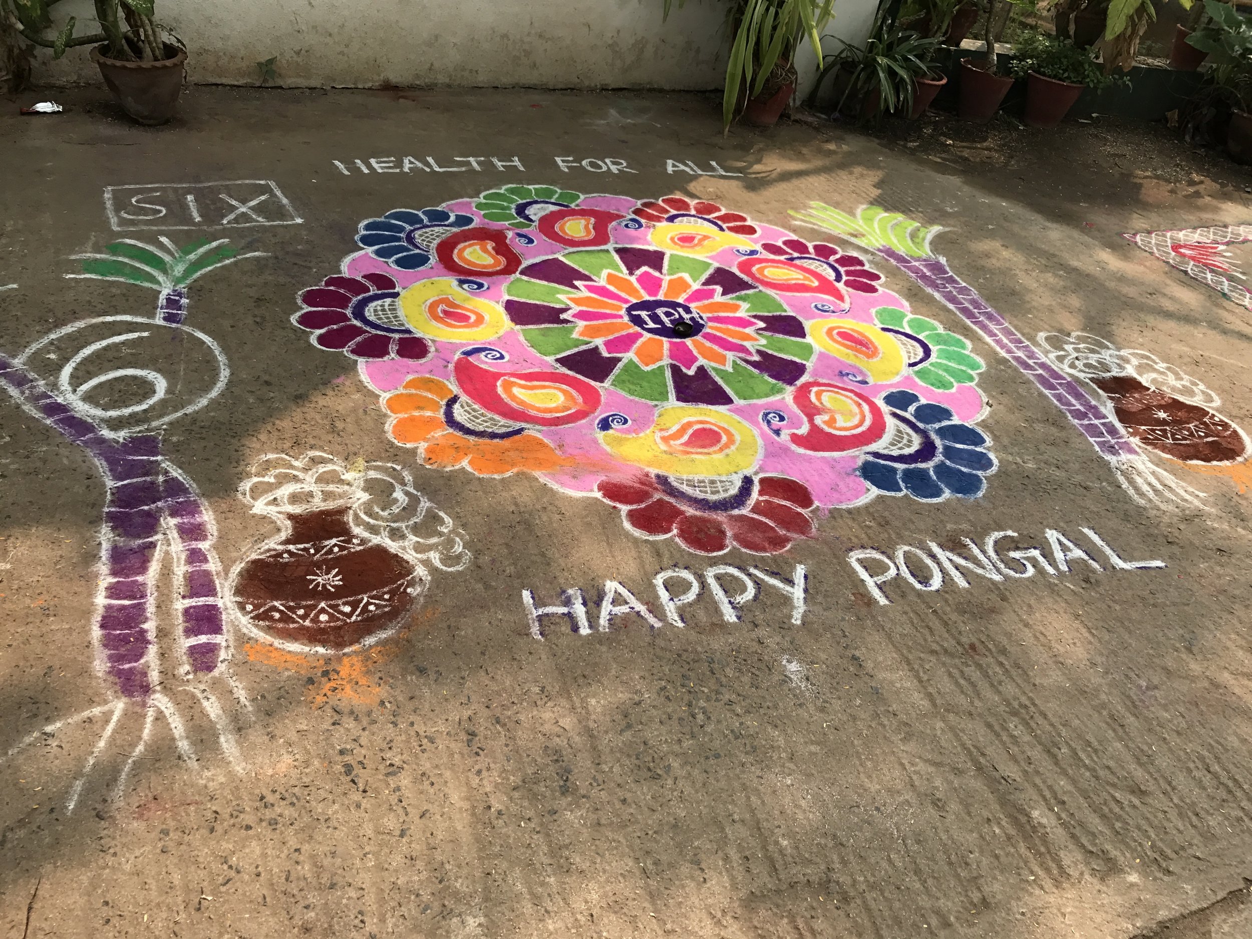  The day's activities included a  kolam  drawing competition between groups of nurses and staff members at the IPH. The designs are a Pongal tradition made mostly of colored chalk that often include flowers, candles, and other decorations.&nbsp; 