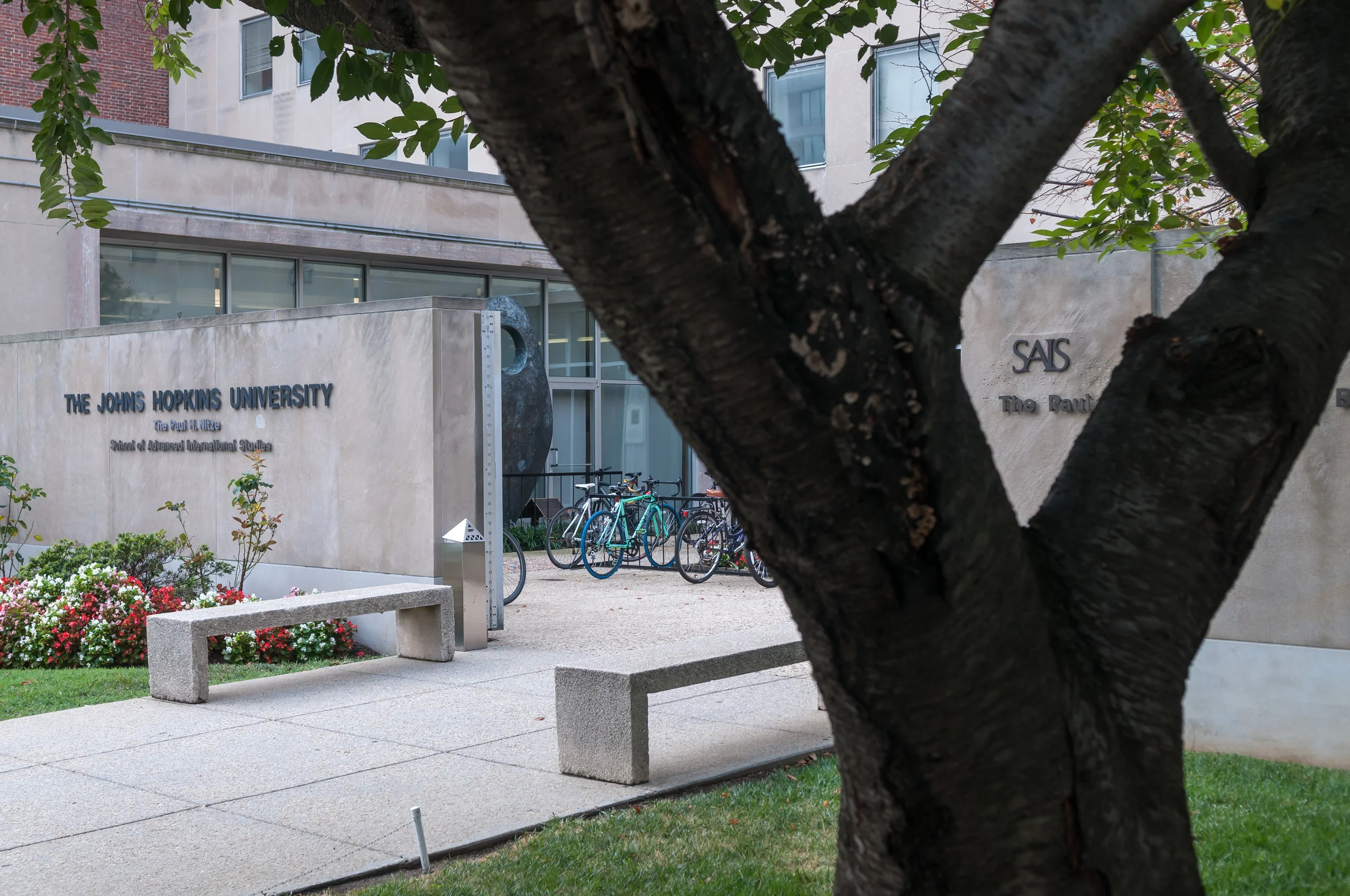 A Conversation with Professor Dornsife