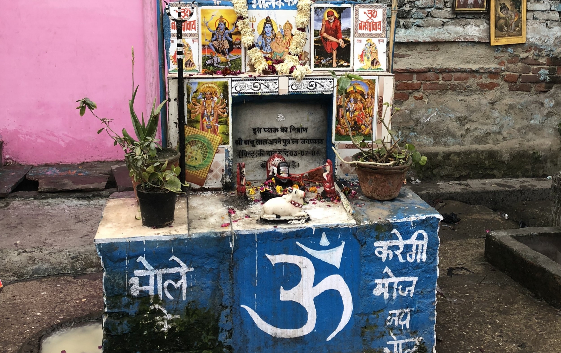 IDEV Practicum 2018: Assessing the Nutritional Potential of Indian Street Food