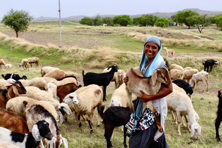 Ashwini shows off her goat-rearing business.