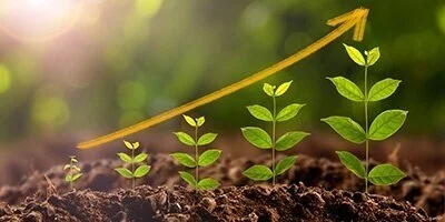 IDEV PRACTICUM 2021: BRIDGING GAPS IN BLENDED FINANCE IN 2021: MEETING COVID'S CHALLENGE IN LDCS