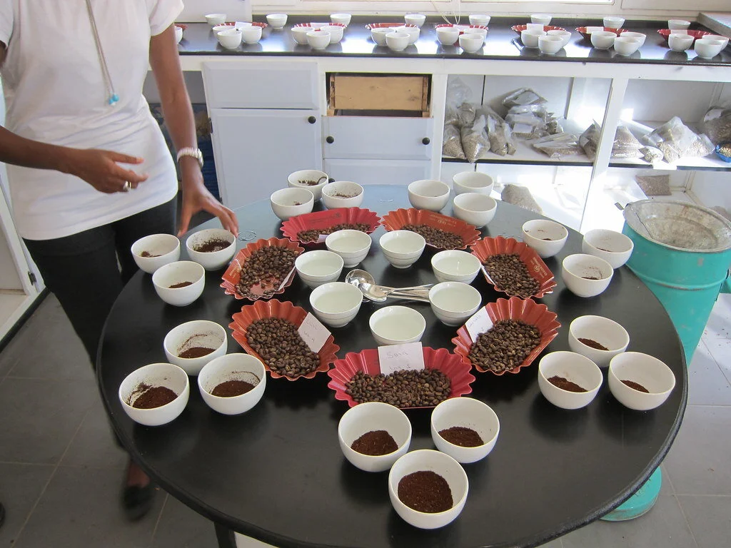 IDEV Practicum 2021: Catalyzing Investments in Smallholder-Sourcing Agribusinesses