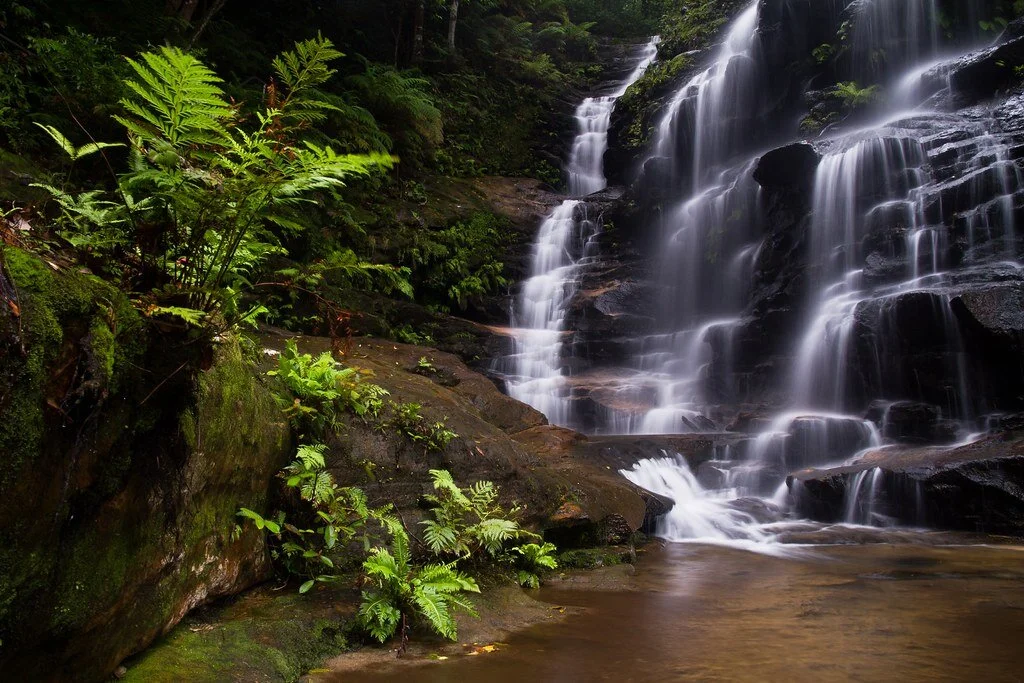 IDEV PRACTICUM 2021: How Financial Institutions Enhance the Sustainability of WASH Lending