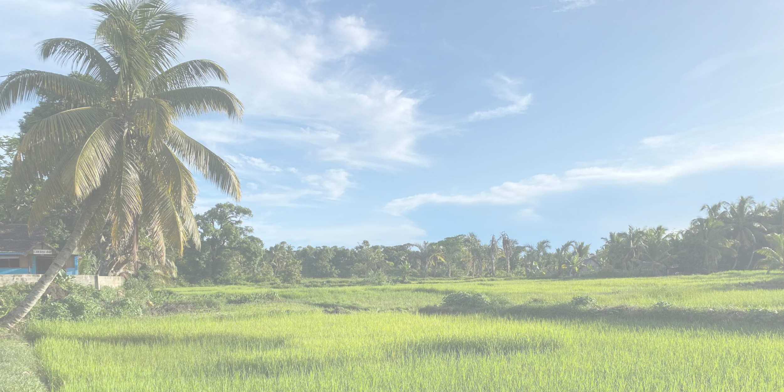 Doing Realistic Development With Lorea Russell, Technical Director at Blumont