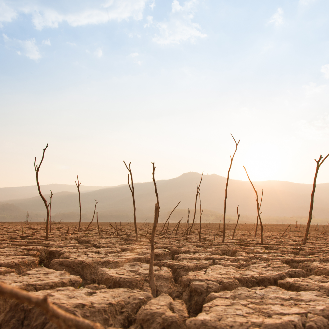 Green Finance Fight Against Climate Change Under COVID-19 