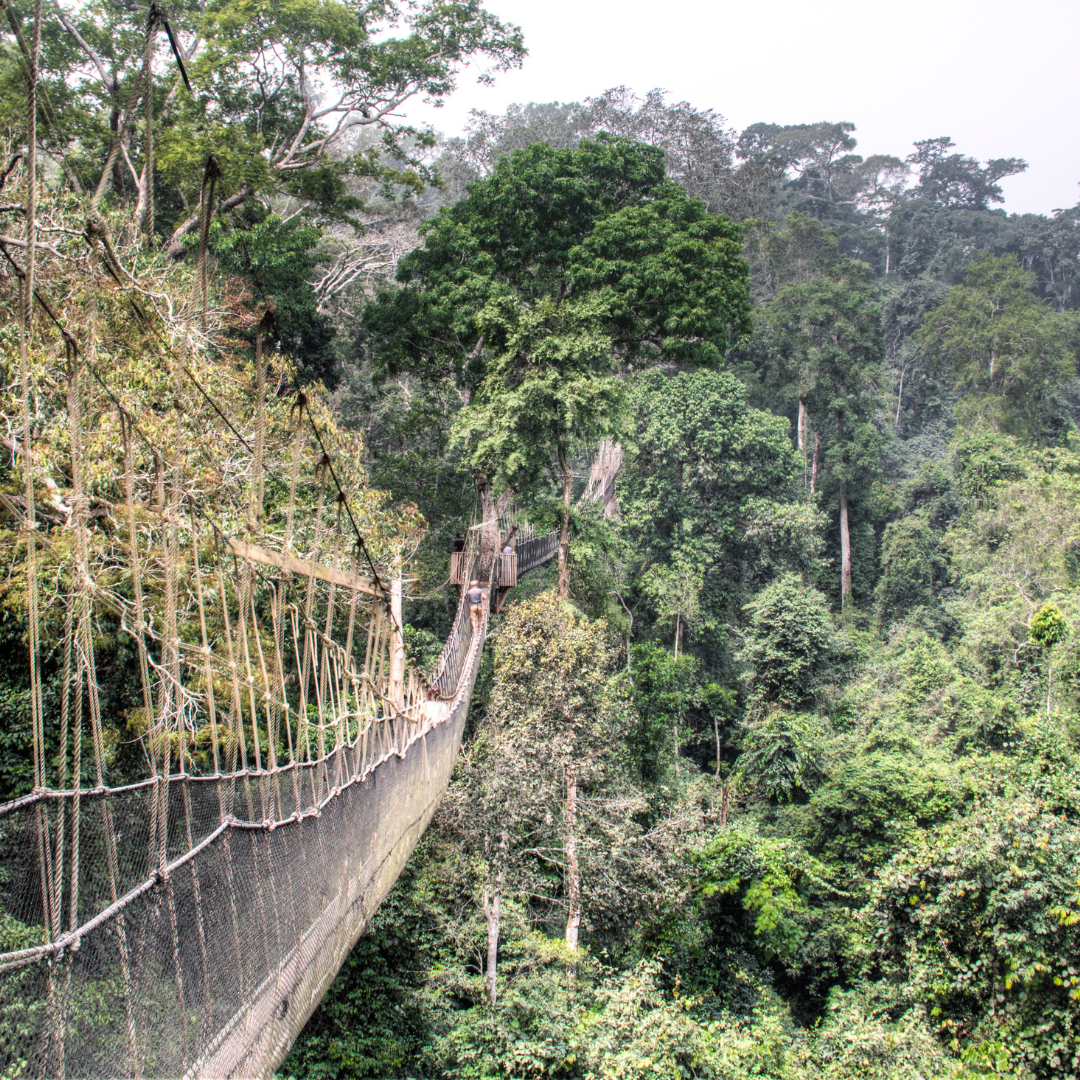 PROMISES, PRIORITIES, PANDEMICS: HOW AN “INVESTOR PERSPECTIVE” DRIVES PPP FUNDING IN GHANA’S INFRASTRUCTURE