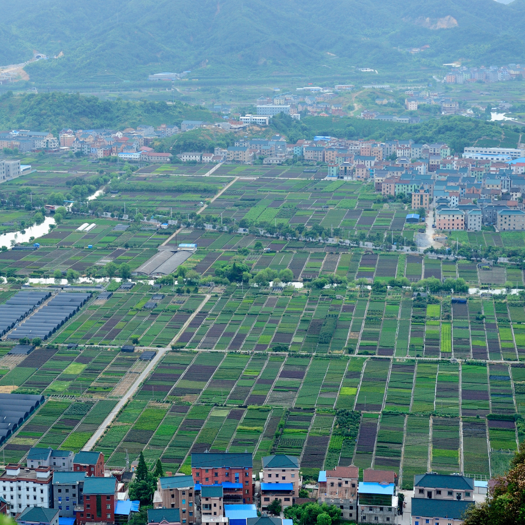 How Do Farmers in China Perceive and Adapt to Climate Change?