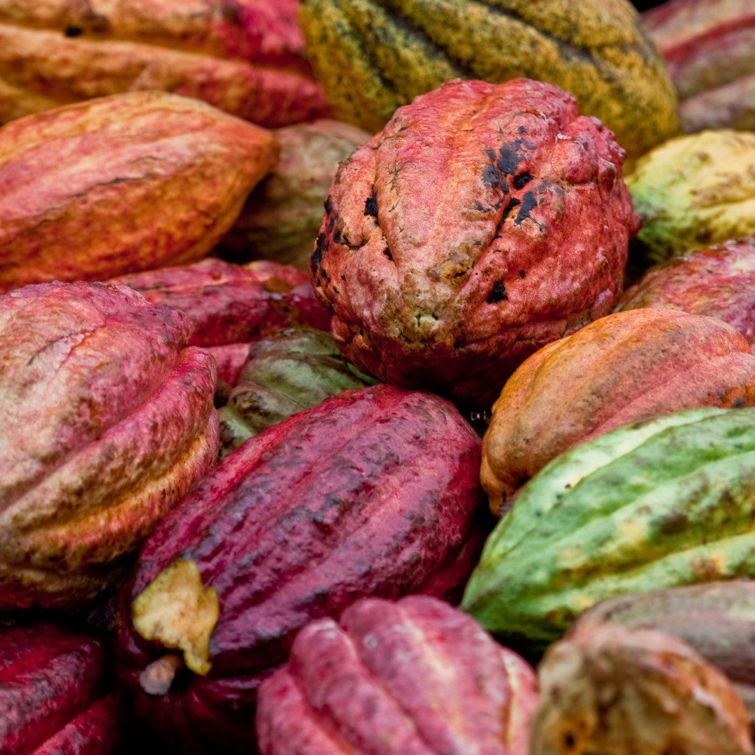 Bitter Links in the Supply Chain: Child Labor in The Cocoa Industry