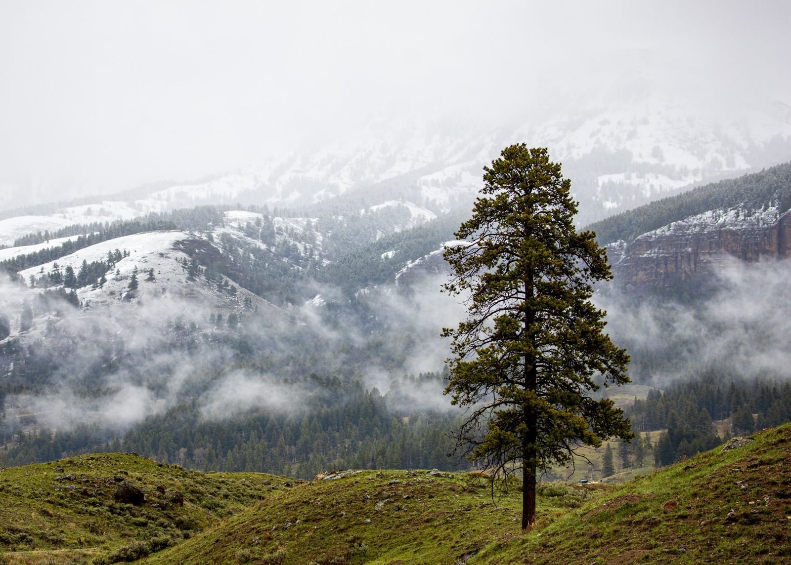 Reflections on Our Climate Future: An Interview with Professor Jeff D. Colgan