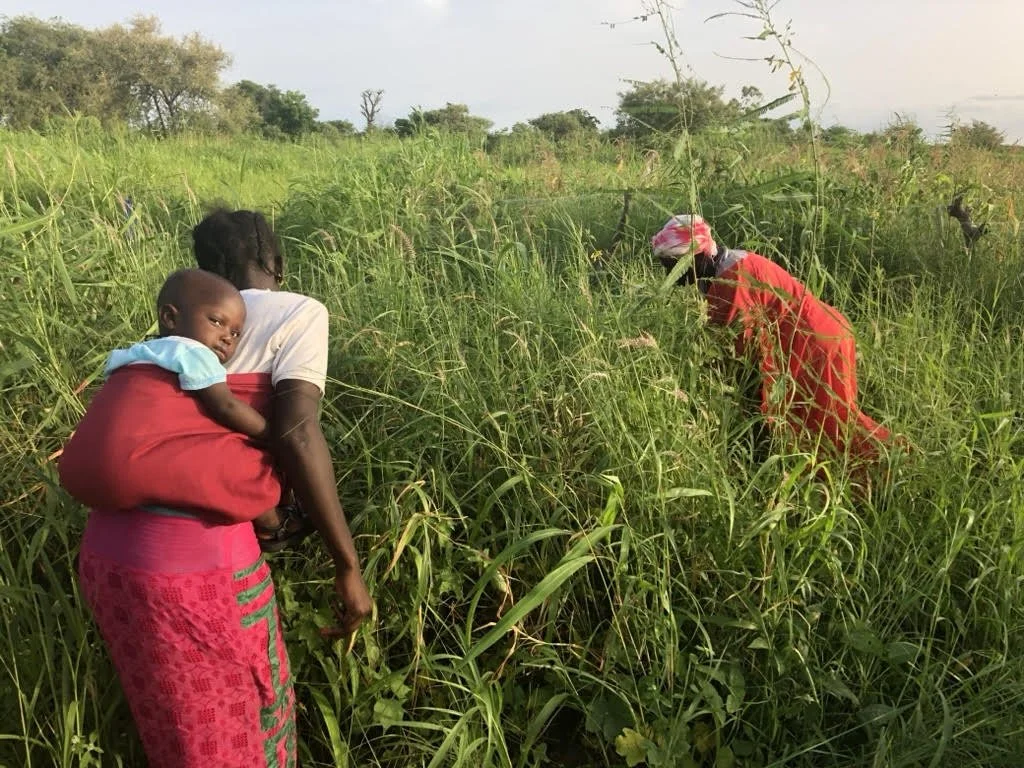 Beyond Ventriloquism – Authentic Representation in Development and Humanitarian Aid